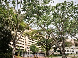 Sin Ming Road (D20), HDB Shop House #203797891